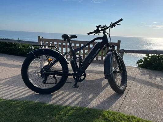 full suspension fat tire ebike