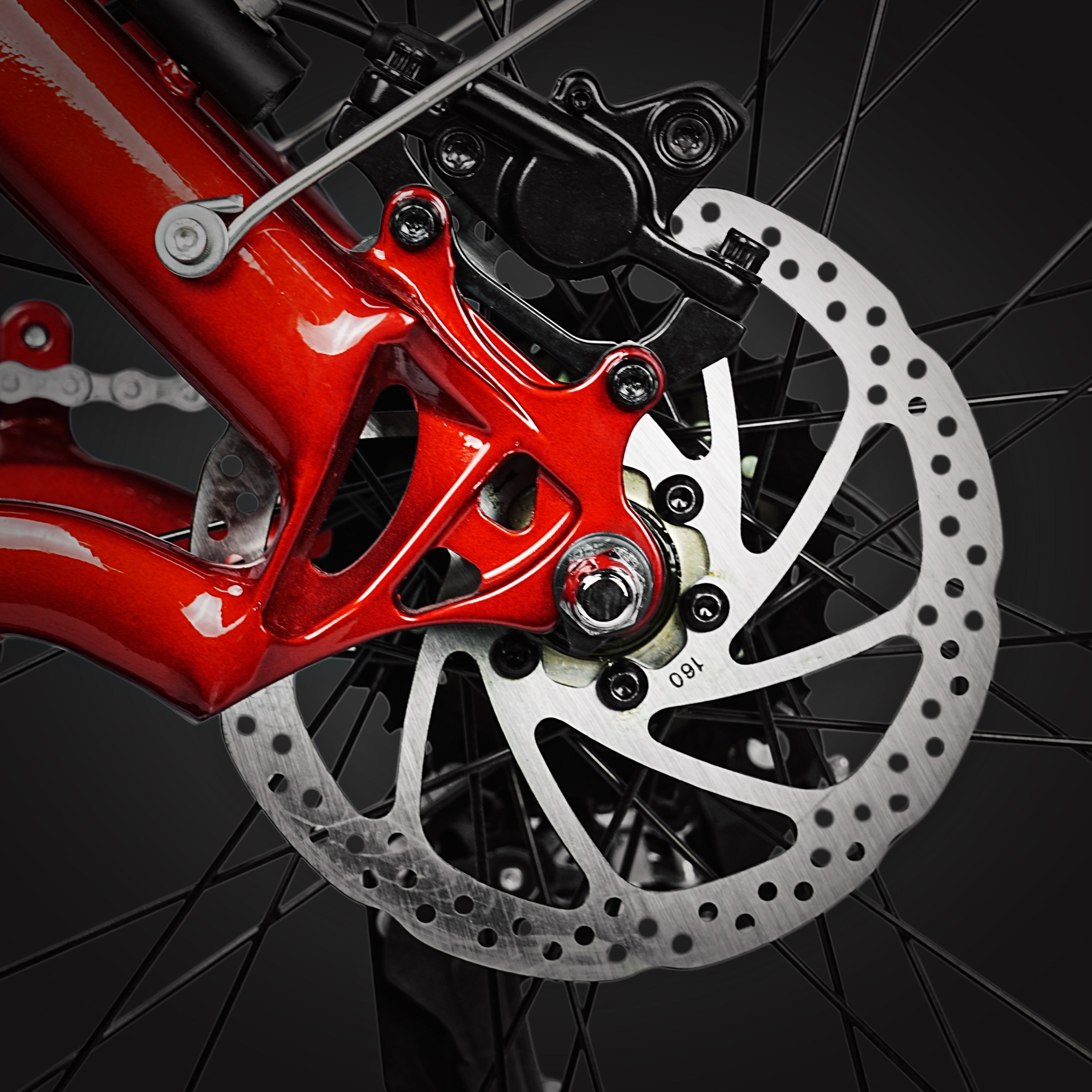 Dual Hydraulic Disc Brakes