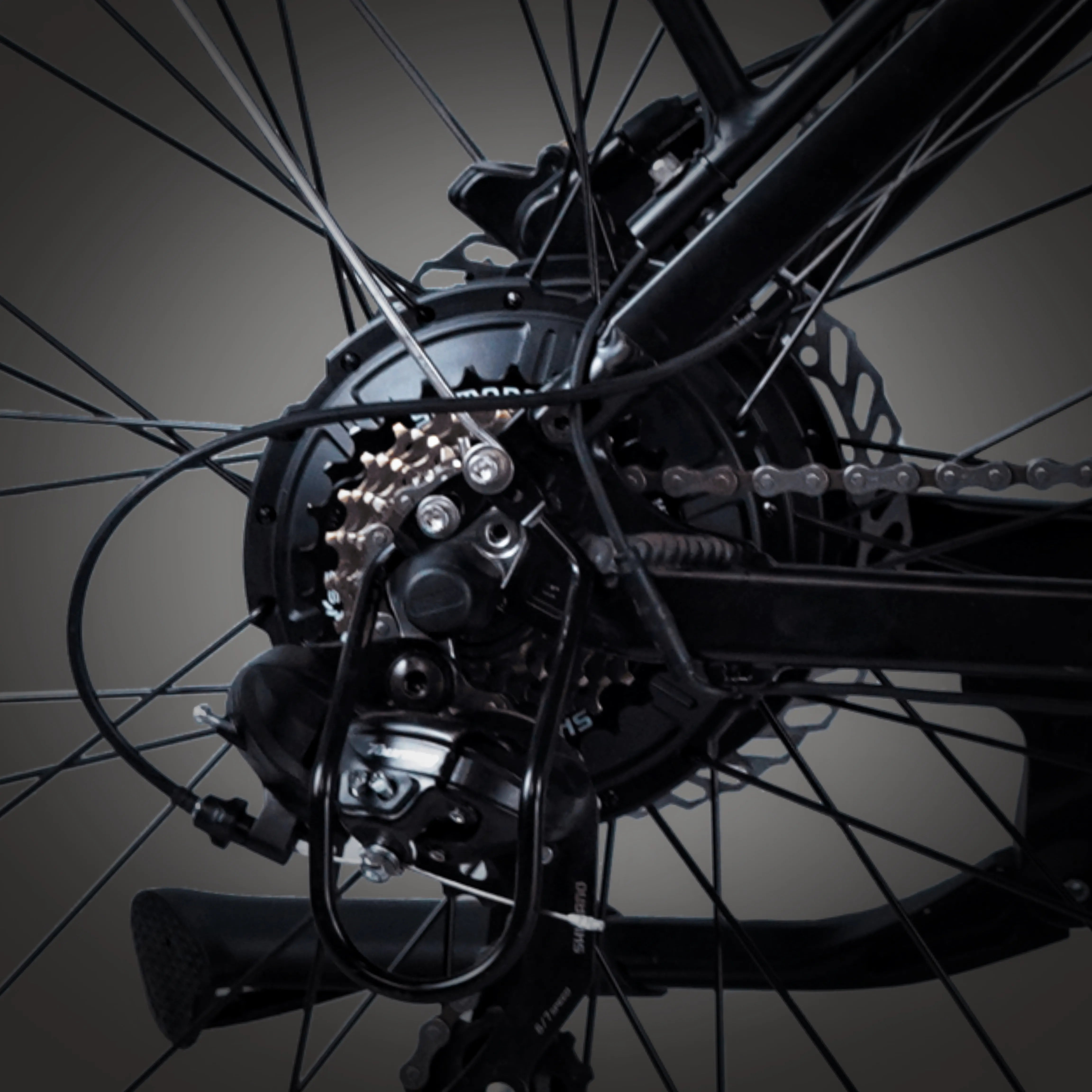 Dual Motor Power Unleashed