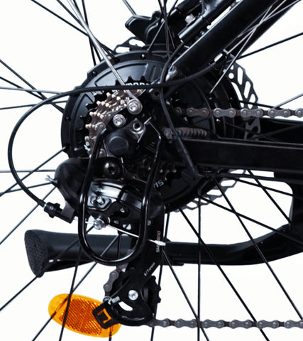 Advanced Shifting System