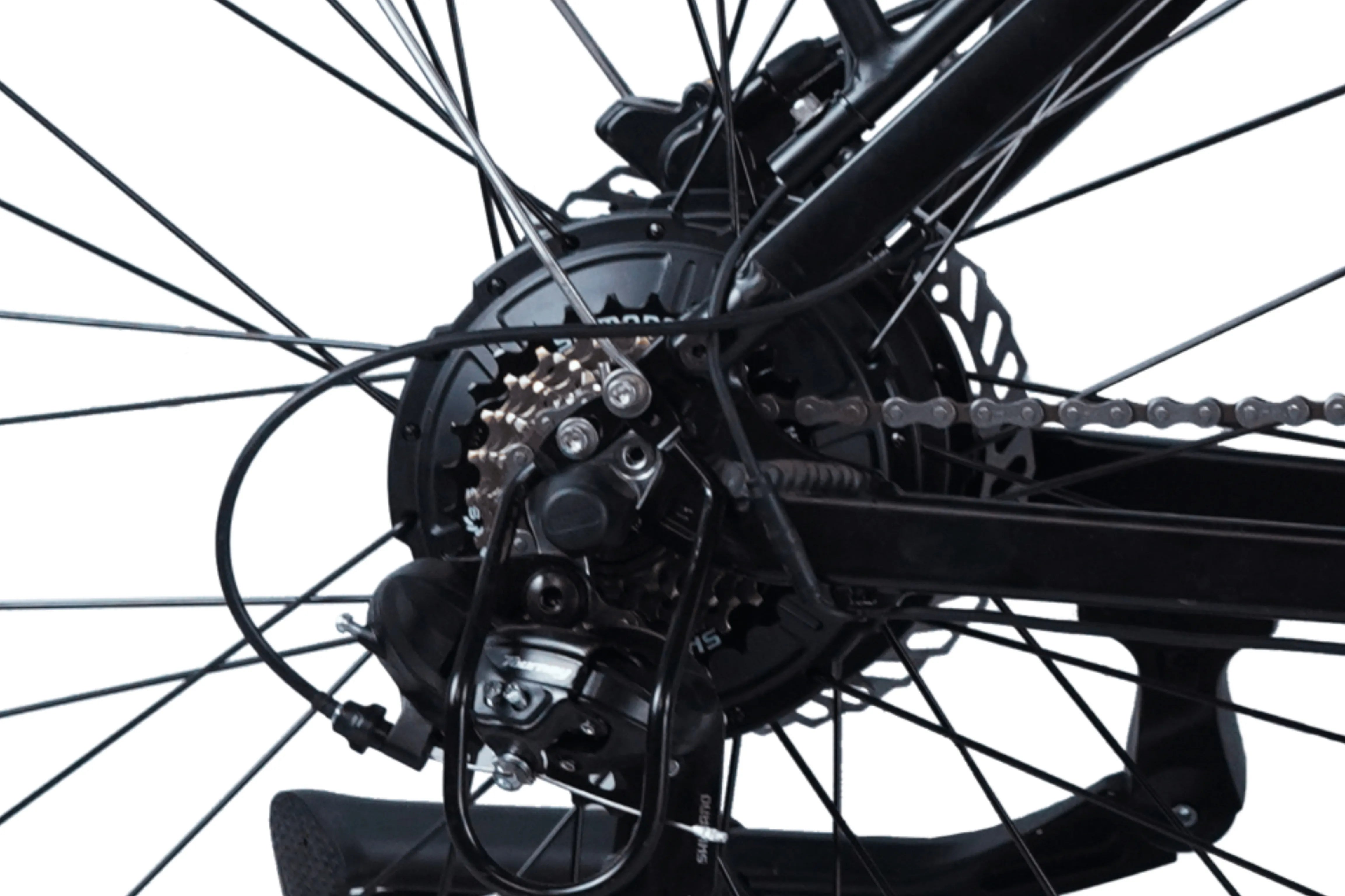 Rear Motor