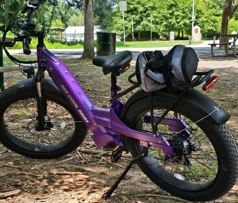 Refurbished Ebike (Local Pick-up Only)