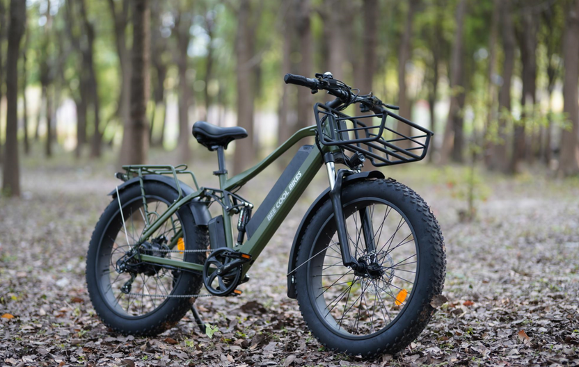 Bee Ranger: A Powerful, Versatile E-Bike by BeeCool Bikes