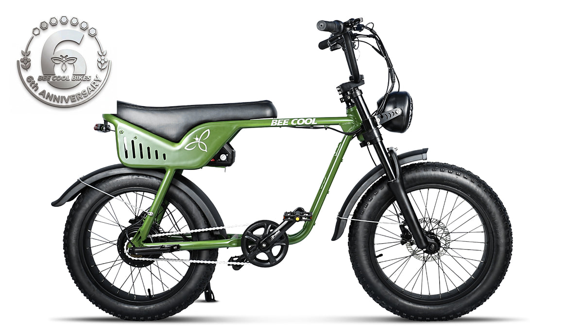 Bee Tracer City Electric Bikes