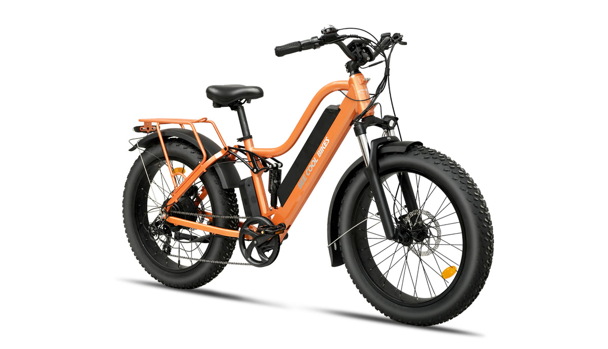 Bee Explorer Lite
