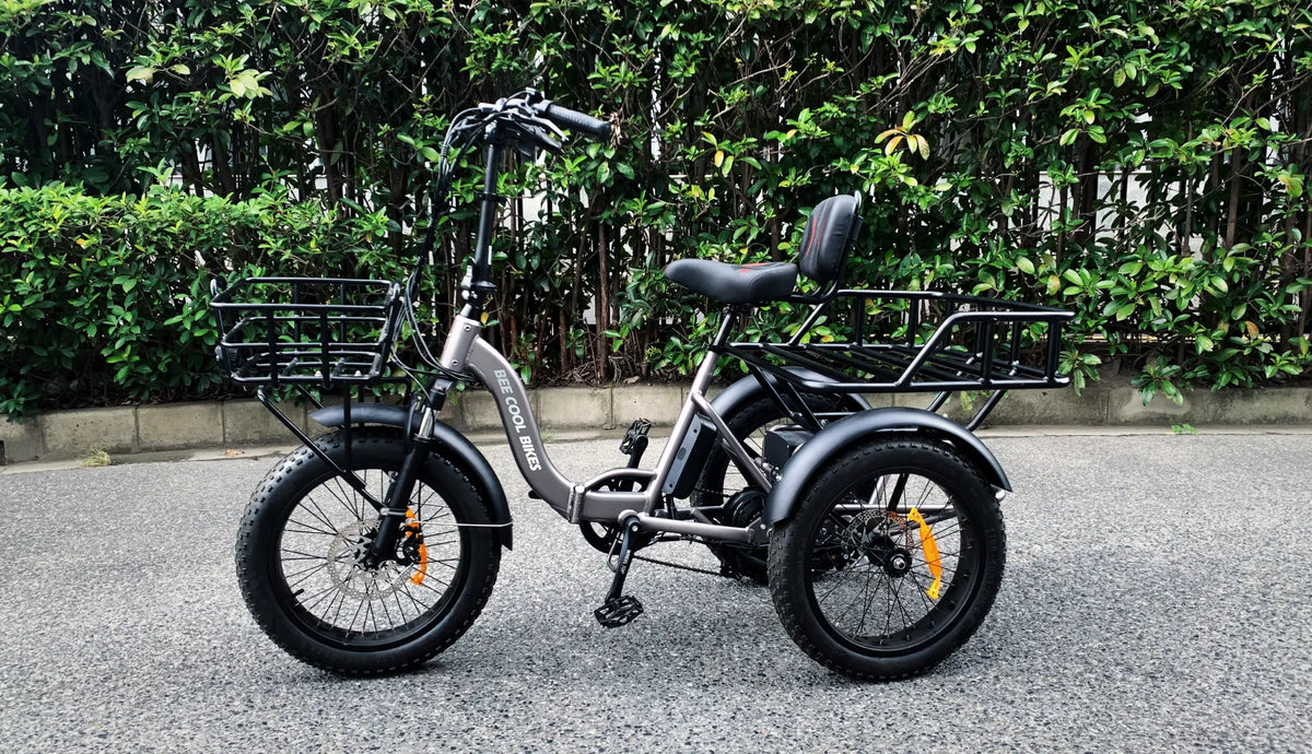 Upgraded Rear Rack For Bee Zipper eTrike