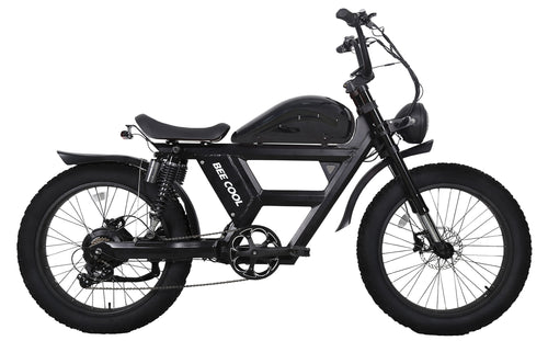 Refurbished Ebike (Local Pick-up Only)