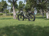 Bee Defender Ebike