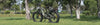 Bee Defender Ebike