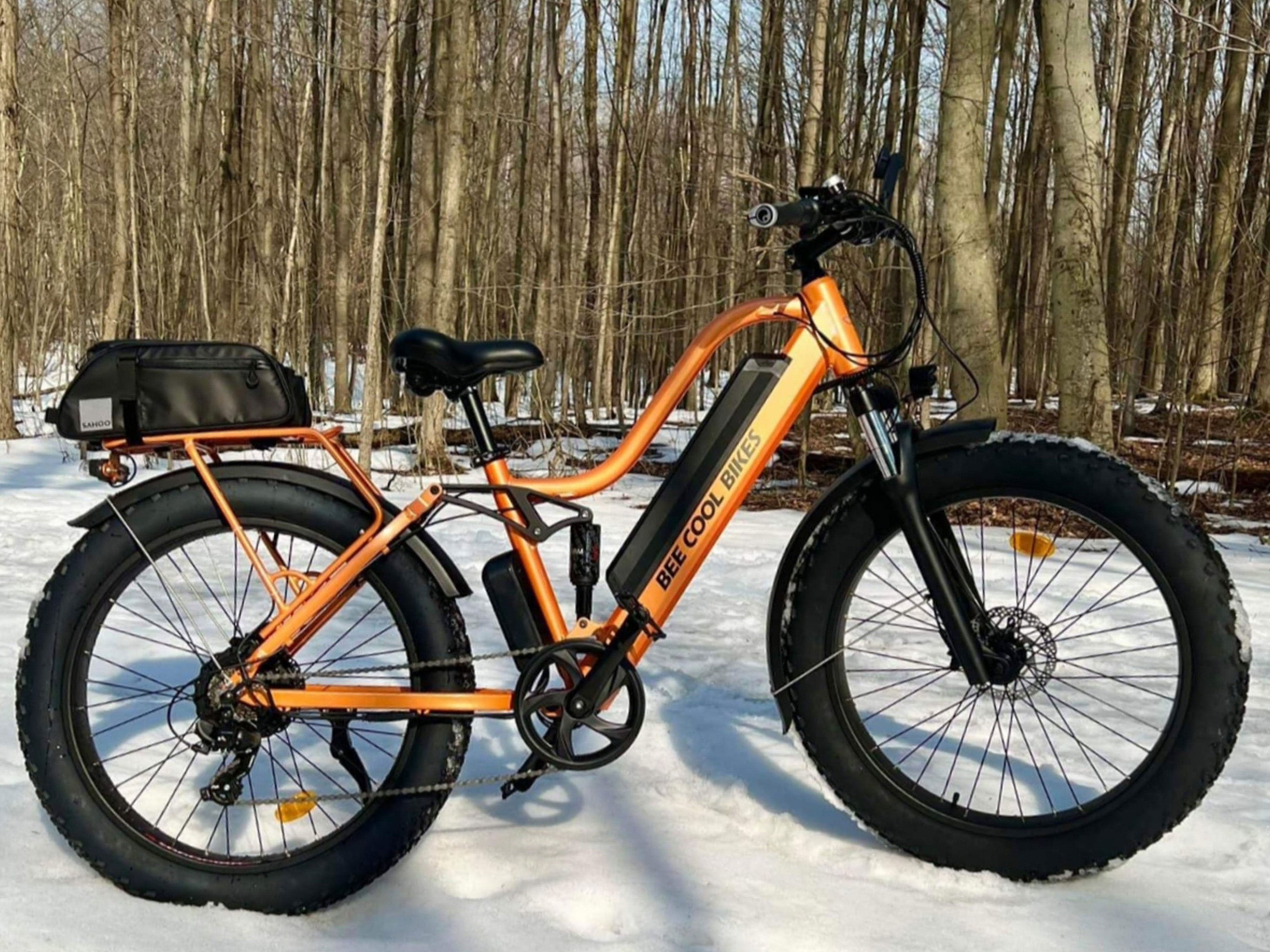 Refurbished Ebike (Local Pick-up ONLY)